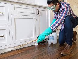 Best Residential Pest Control  in Eastwood, LA